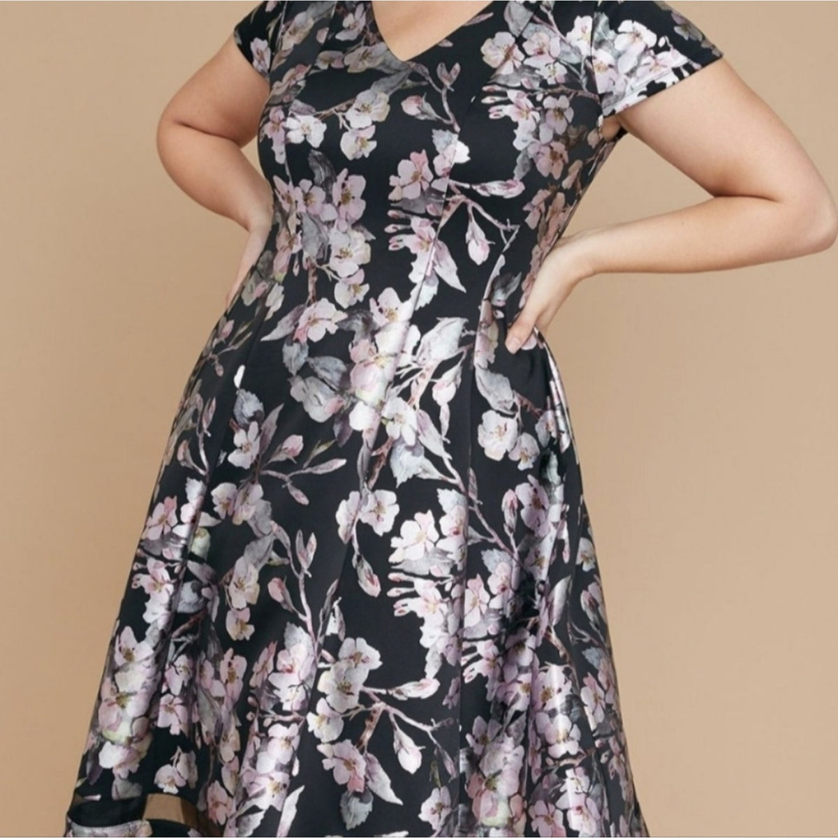 Whimsical Fairy Fit & Flare Dress Black Iridescent Flowers Women's  18/20