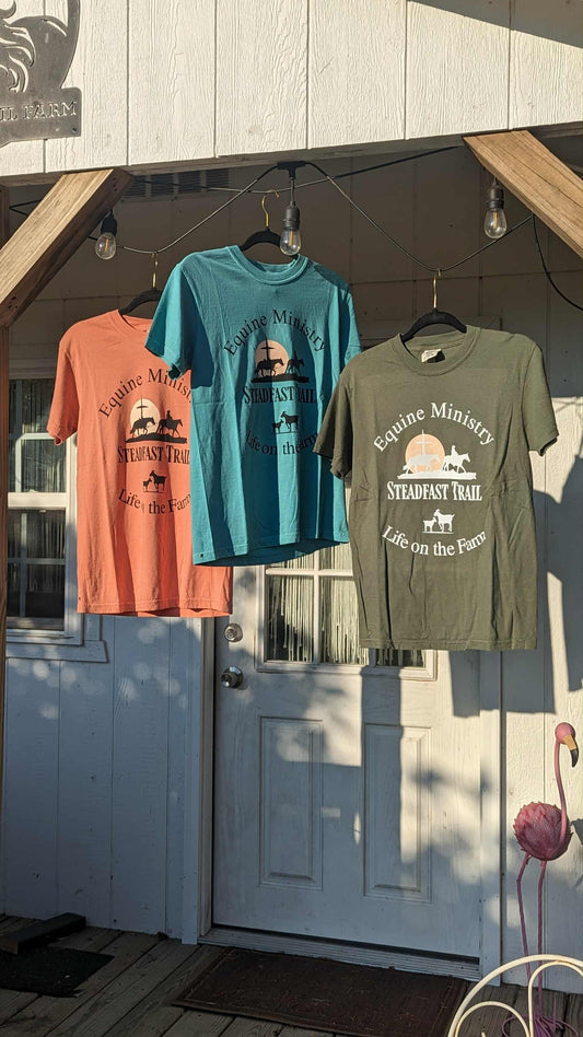 100% Cotton Comfort Color Tee Shirts Sweatshirt Cozy Prewashed S,M,L,XL