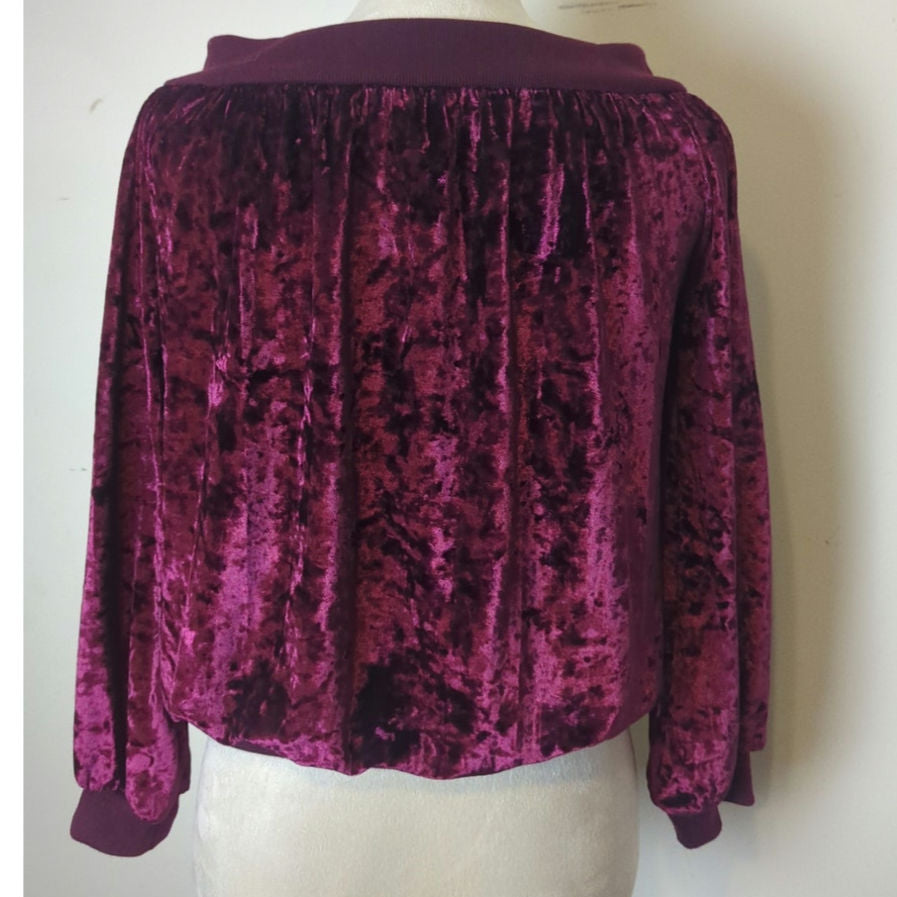 Moody Burgundy Velvet Boat Neck Pullover Top Balloon Sleeves Women's Small